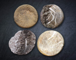 Sági Luca ékszertervező - Venus brossok: H2O kollekció; vegyes technika; ón, acél;